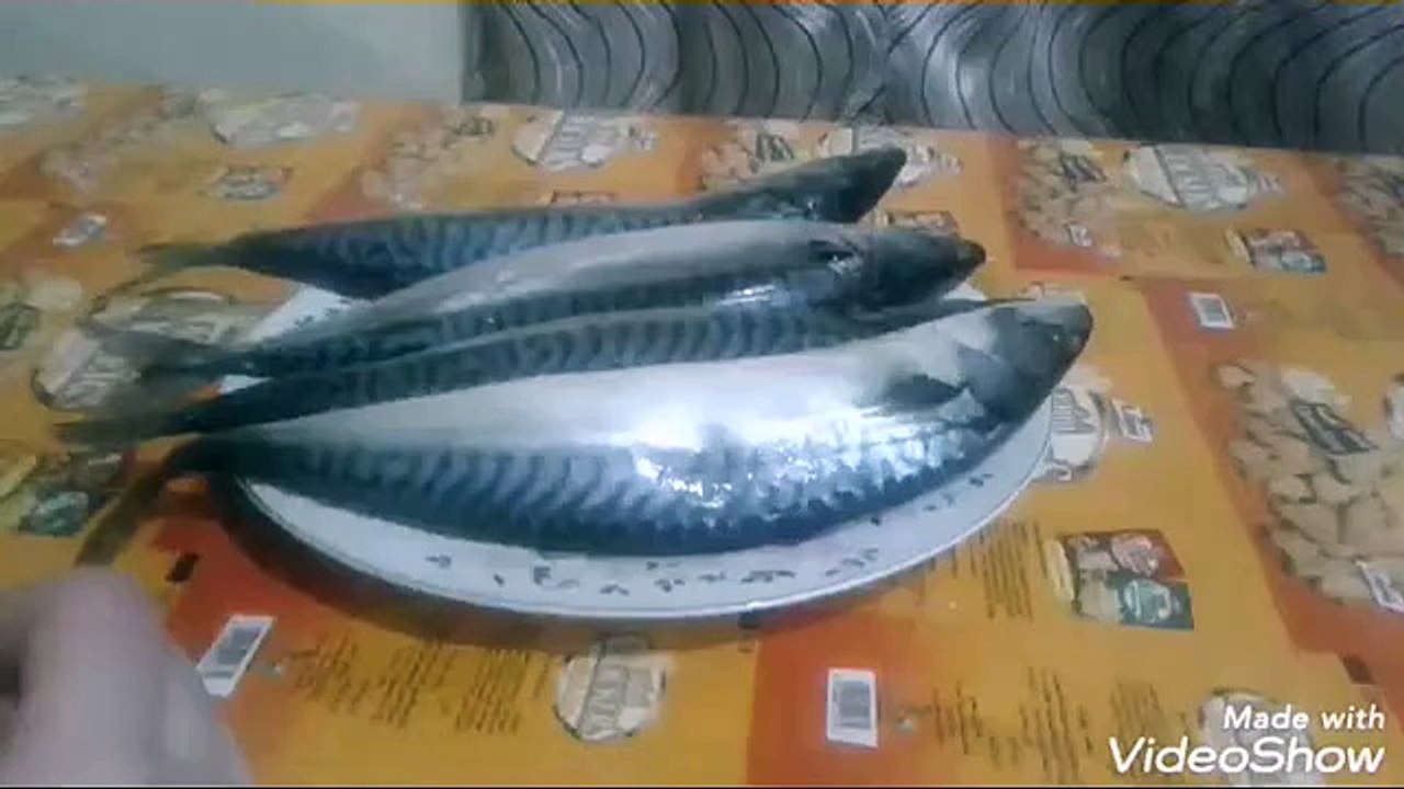 سمك سنجارى