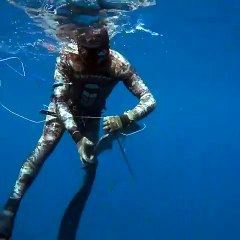 Spearfishing Paradise in middle of the DESERT