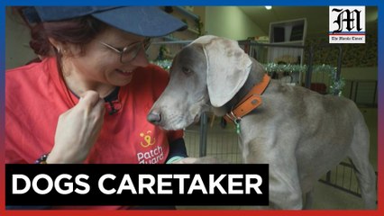 French creche gives dogs a break from Christmas crowds