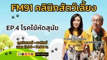 โรคไข้หัดสุนัข EP.4 : FM91 คลินิกสัตว์เลี้ยง : 17 ธันวาคม 2566