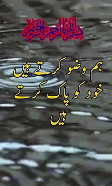 Best Quote Of The Day | Quote of The Day | weird stories #weirdstories #bestquotes #quoteinenglish