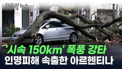 나무 뽑히고 건물 무너지고...인명피해 속출한 아르헨티나 [지금이뉴스] / YTN
