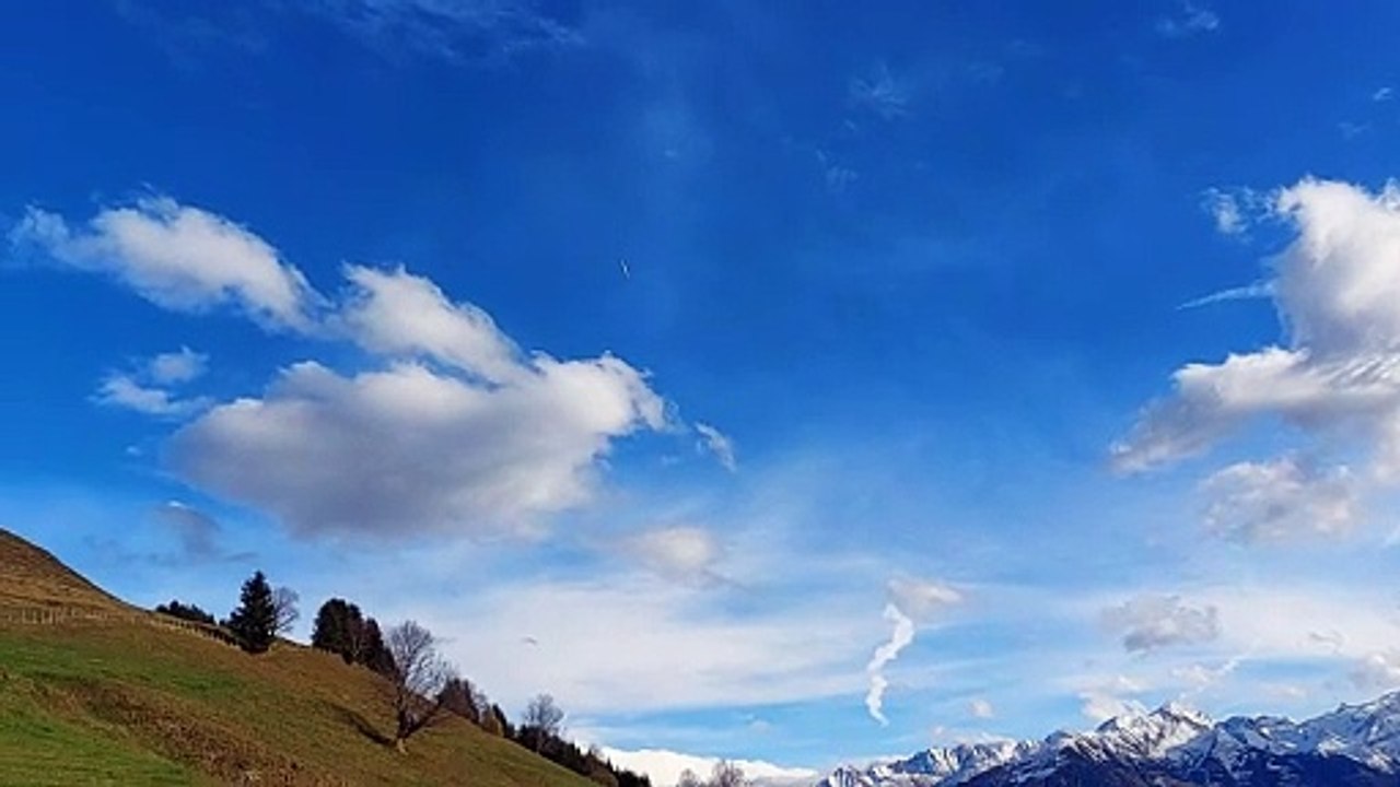 Wood wipe am Südhang