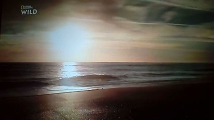 LES GÉNIES DES BASSINS S01E04