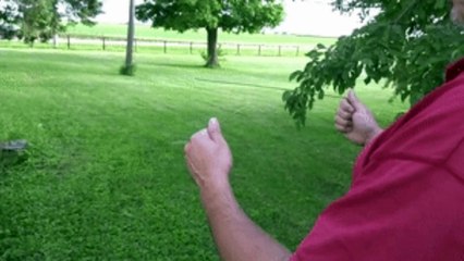 Tibor Olgers geeft les over hoe en waar je geldbomen kunt vinden_