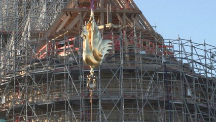 Notre-Dame retrouve son coq au sommet de sa flèche