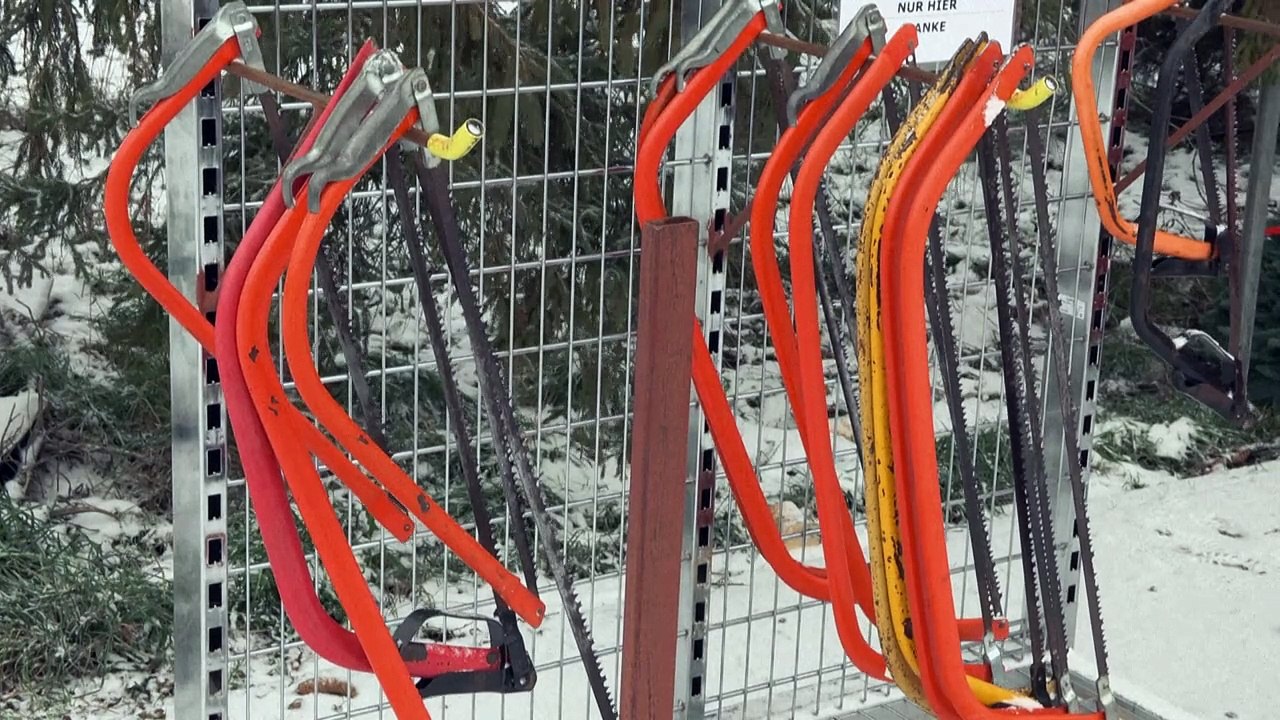 Weihnachtsbäume: Was man bei Kauf und Pflege beachten sollte