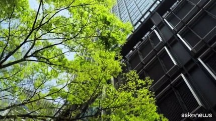 Chelini: green bond miglior scelta per sostenere climate-solutions