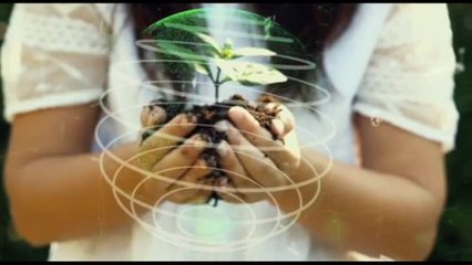 Chelini: green bond miglior scelta per sostenere climate-solutions