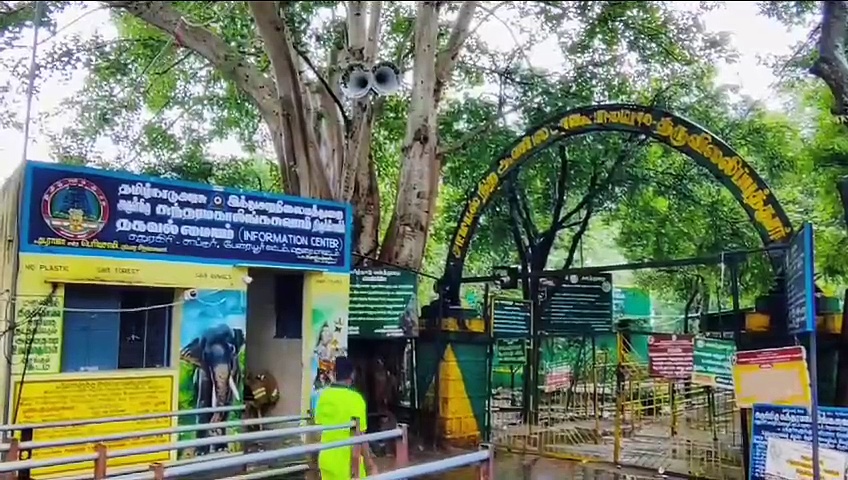 வெள்ளத்தில் சிக்கி விடிய விடிய தவித்த பக்தர்கள்; உயிரை பணயம் வைத்து மீட்ட வனத்துறையினர்