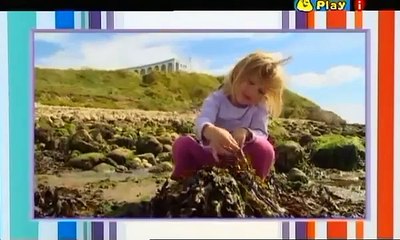 Something Special - Mr Tumble - Full Episode - Animal Doctor - Cbeebies