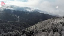 Kar ve sisle buluşan ormanın büyüleyen görüntüsü