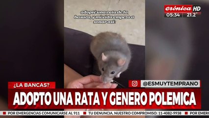 Se sentía sola y adoptó una rata para que le haga compañía