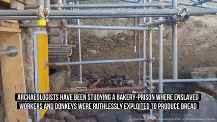 Horrors Of Roman Slavery Uncovered In Pompeii