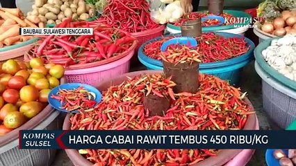 Harga Cabai Rawit Tembus 450 Ribu Per KG