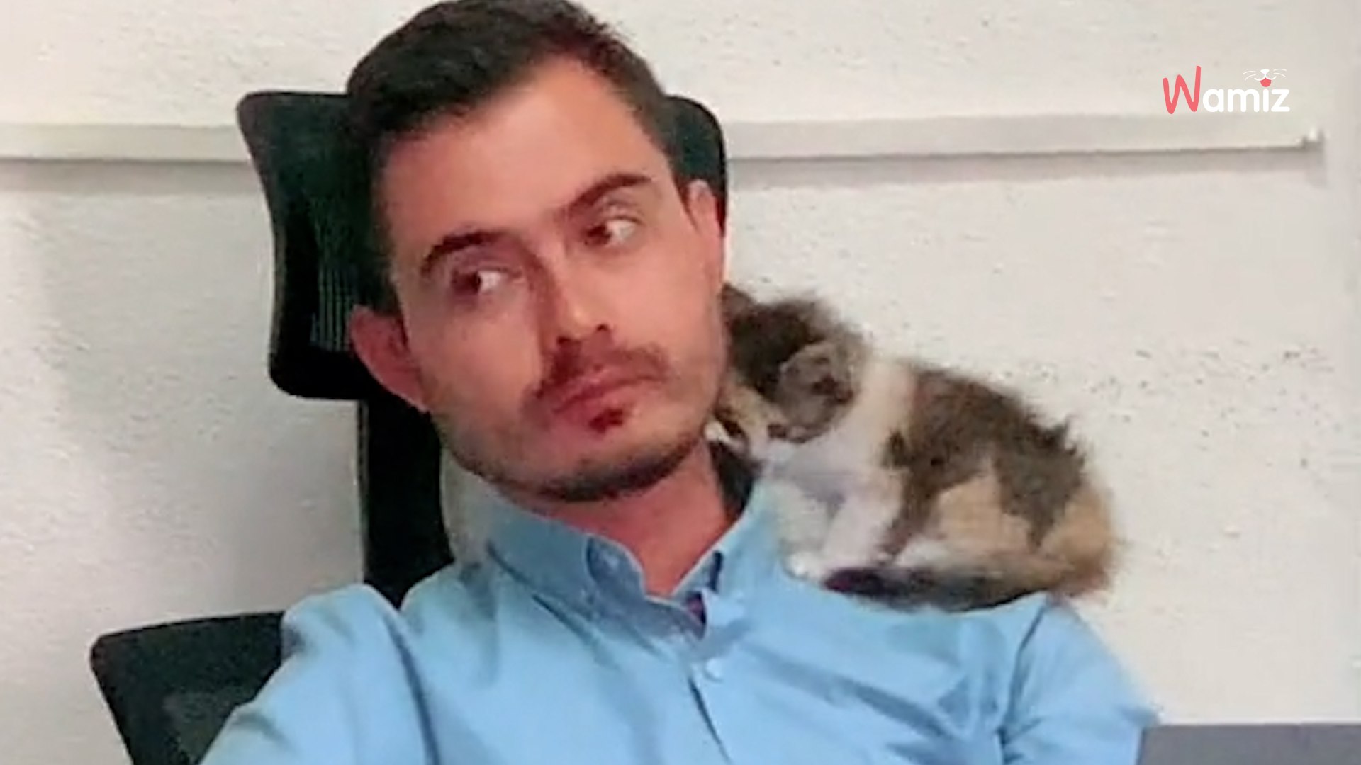 ⁣Unlikely pet sitter steps in to care for student’s kitten during exam (video)