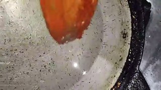 fish fry craoker panna