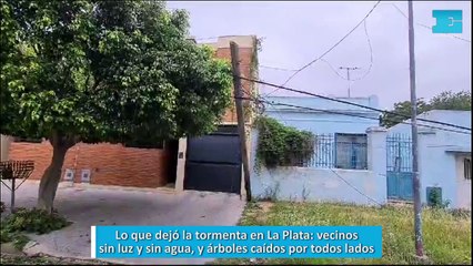 Lo que dejó la tormenta en La Plata, vecinos sin luz y sin agua, y árboles caídos por todos lados
