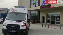 Burdur'da sokak köpeklerinin saldırısına uğrayan üniversiteli kız öğrenci yaralandı