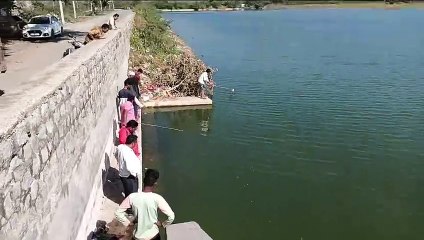खबर के बाद हरकत में आए जिम्मेदार, मरी हुई मछलियों को निकाला बाहर, की सफाई