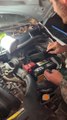 Guy Finds Hundreds of Acorns Hidden by Squirrels Inside Car's Hoods