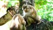Million heartbreak!, tiniest Monaco baby is pulled tightly mother Molia and female monkey (720p_25fps_H264-192kbit_AAC)