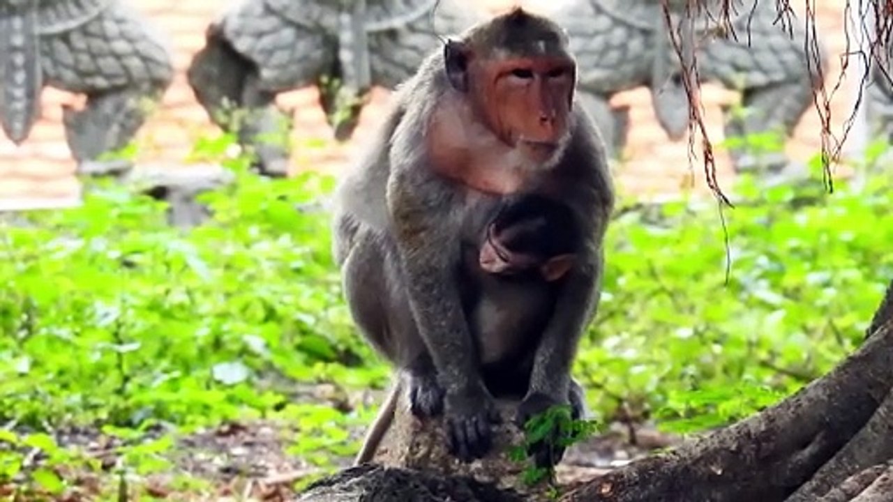 Mekala Mom Carry Two Babies Escaping Because Of She Stole Monika Baby From Malika (720p_25fps_H264-192kbit_AAC)