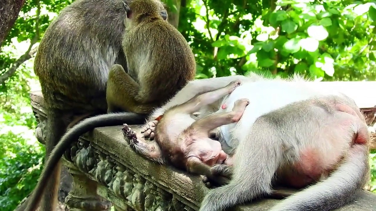Mama EMILA Breastfeed Her Baby Till Sleepy With Sitting (720p_25fps_H264-192kbit_AAC)