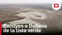 Doñana, excluido de la lista verde del organismo ambiental más grande del mundo
