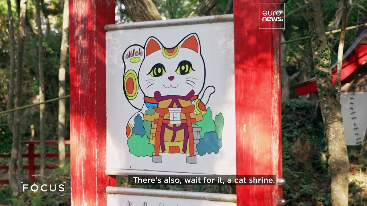 How are deer and cats helping boost tourism in Japan’s Tohoku region?