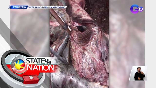 Aabot sa 300KG ng botchang karneng baboy, nakumpiska sa Maynila | SONA