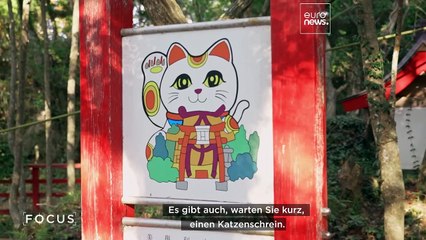 Hirsche und Katzen kurbeln den Tourismus in der japanischen Region Tohoku an