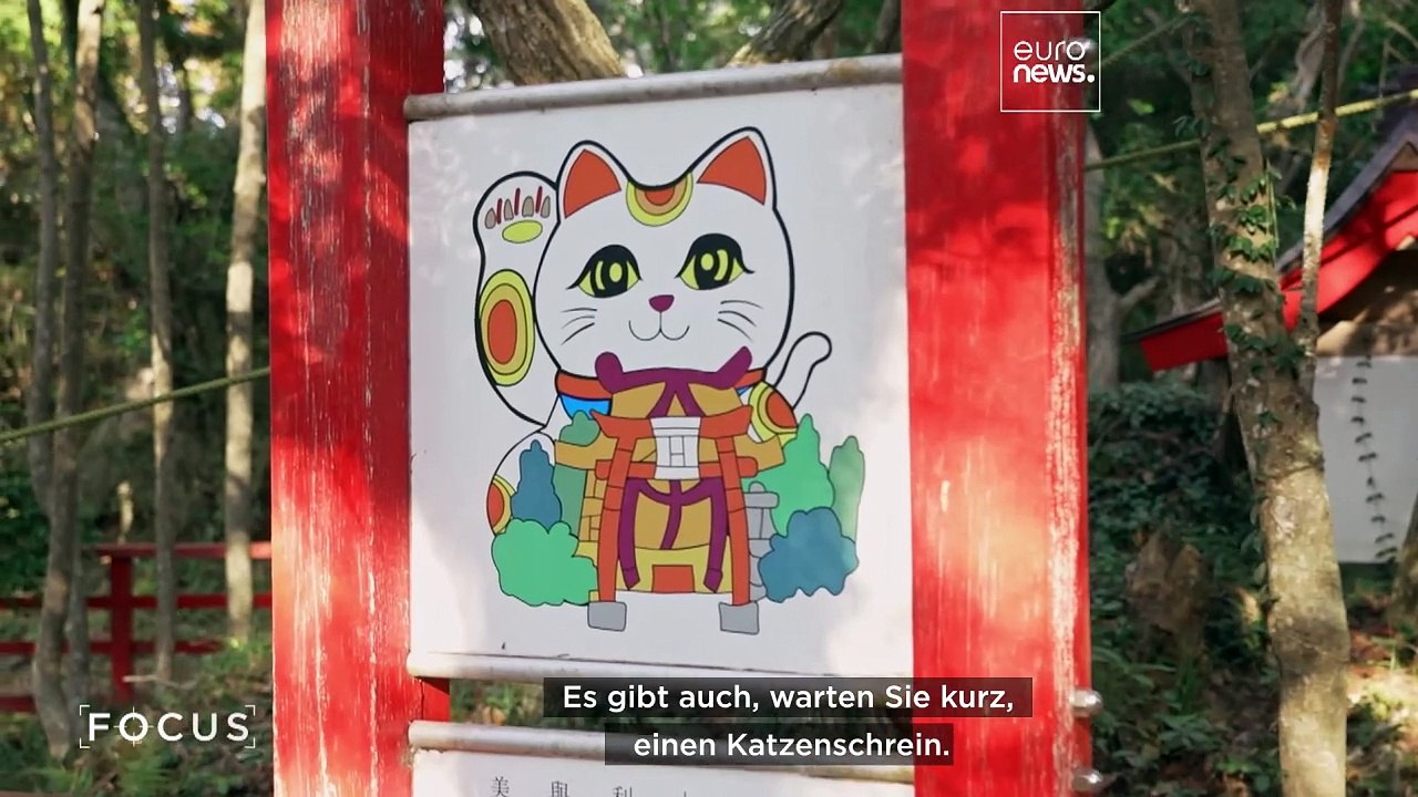 Hirsche und Katzen kurbeln den Tourismus in der japanischen Region Tohoku an