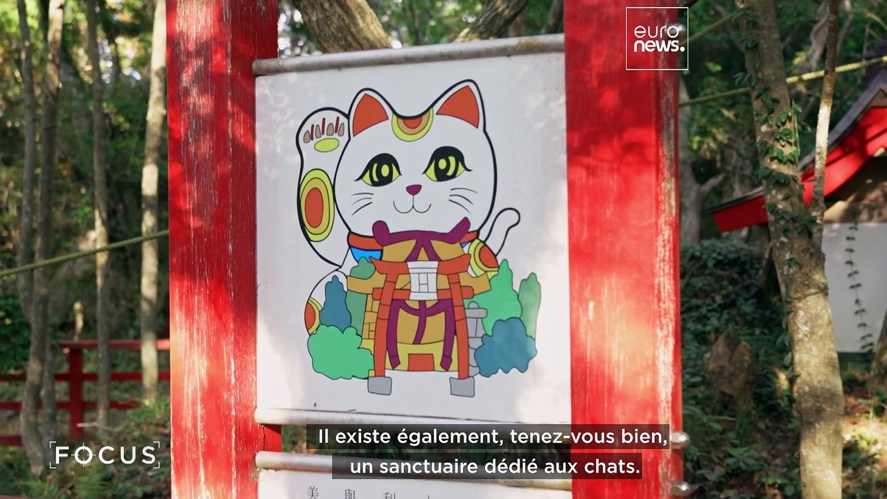 Comment les chats apportent chance et tourisme dans la région japonaise du Tohoku