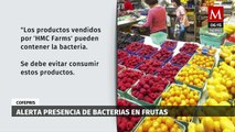 Cofepris alerta sobre la posibilidad de frutas contaminadas por bacterias