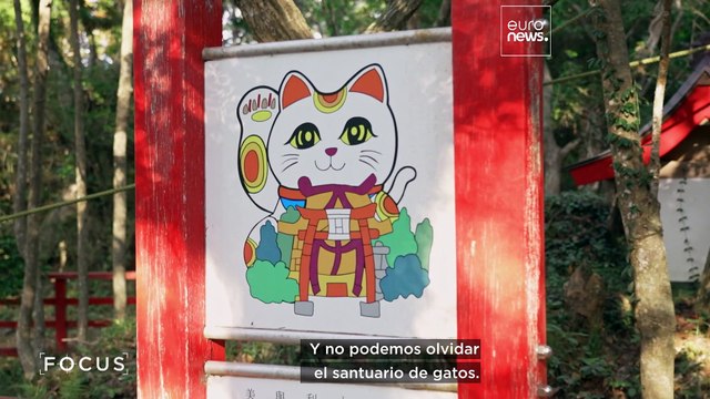 ¿Cómo ayudan los ciervos y los gatos a impulsar el turismo en la región japonesa de Tohoku?