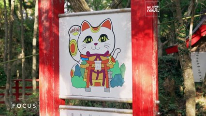 Giappone: in che modo cervi e gatti stimolano il turismo nella regione di Tohoku?