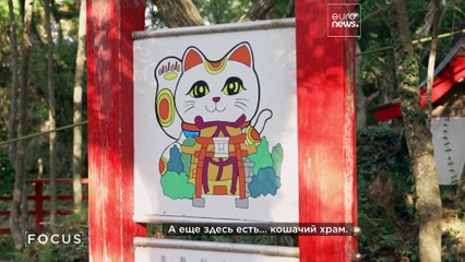 Как олени и кошки разивают туризм в японском регионе Тохоку?