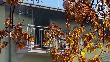 Bimbo morto in un incendio, il nonno: "Fiamme divampate intorno a mezzanotte"