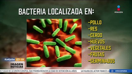 Salmonella, ¿qué es y cómo se puede prevenir?