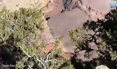 Elle trébuche et manque de tomber du grand canyon