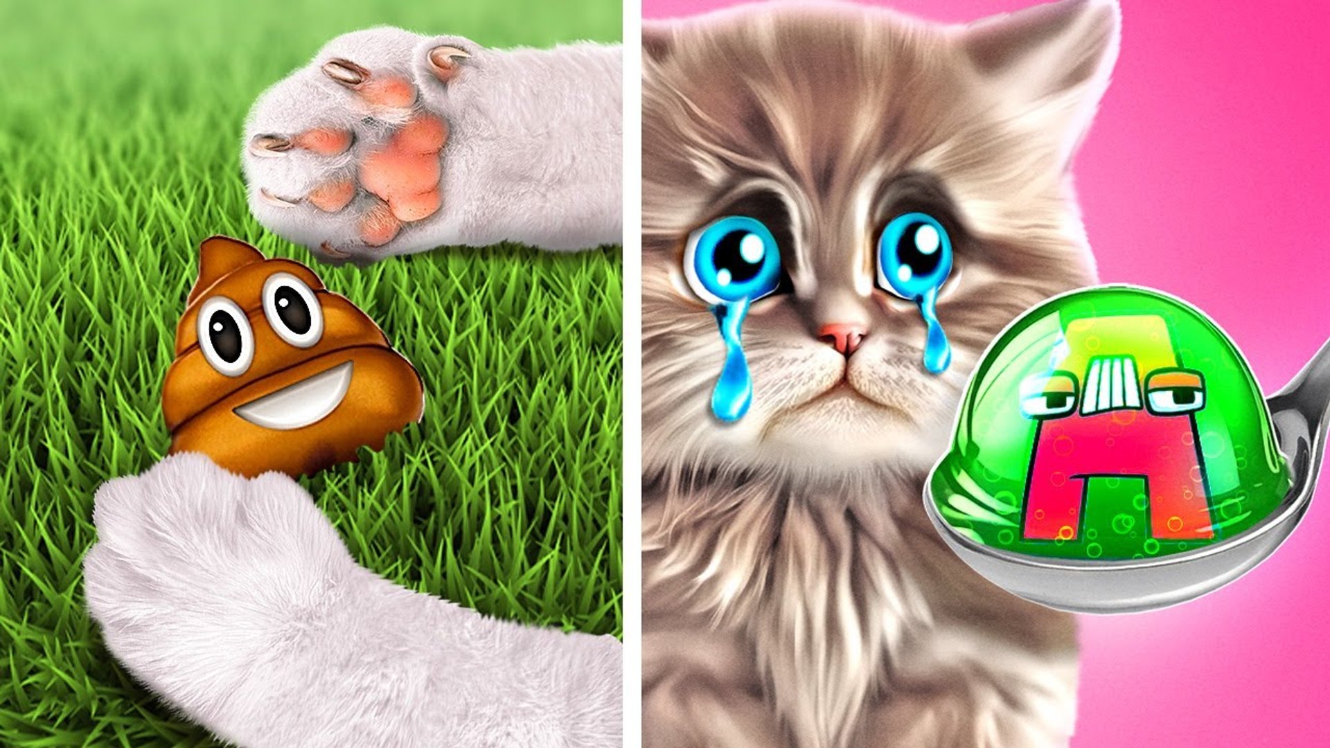 ⁣Watch Out For Your Pets *Cool Gadgets And Crafts For Pets* Secret House For A Pet In A Closet