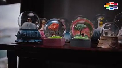 Девојката од прозорецот Сител Телевизија