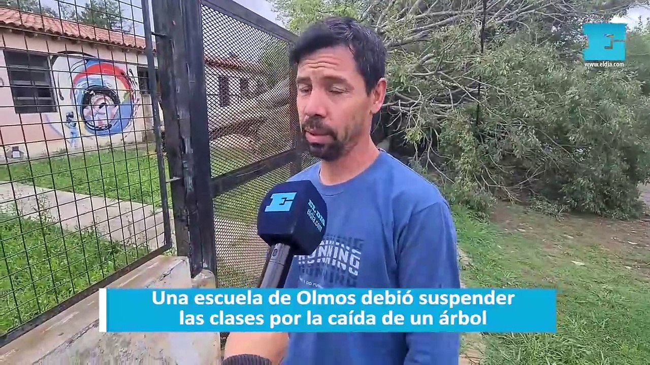 Una escuela de Olmos debió suspender las clases por la caída de un árbol