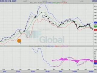 MAIS EURONEXT 31.03.08