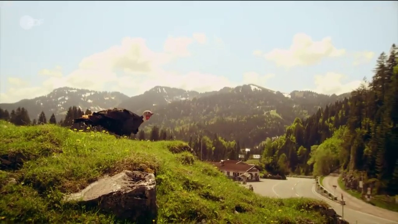 Frühling -03- Frühlingskinder