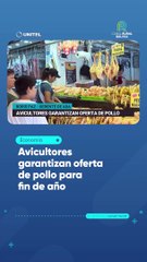 Avicultores garantizan oferta de pollo para fin de año