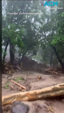 Far North Queensland faces months-long clean up in Cyclone Jasper's aftermath