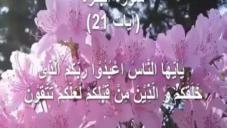 surah al-baqarah ayat 21