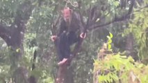 Local heroes rescue man clinging to tree above floodwaters